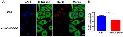 Preparation of NIR-Responsive Gold Nanocages as Efficient Carrier for Controlling Release of EGCG in Anticancer Application